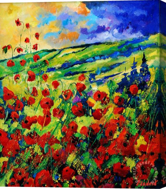 Pol Ledent Poppies 78 Stretched Canvas Print / Canvas Art