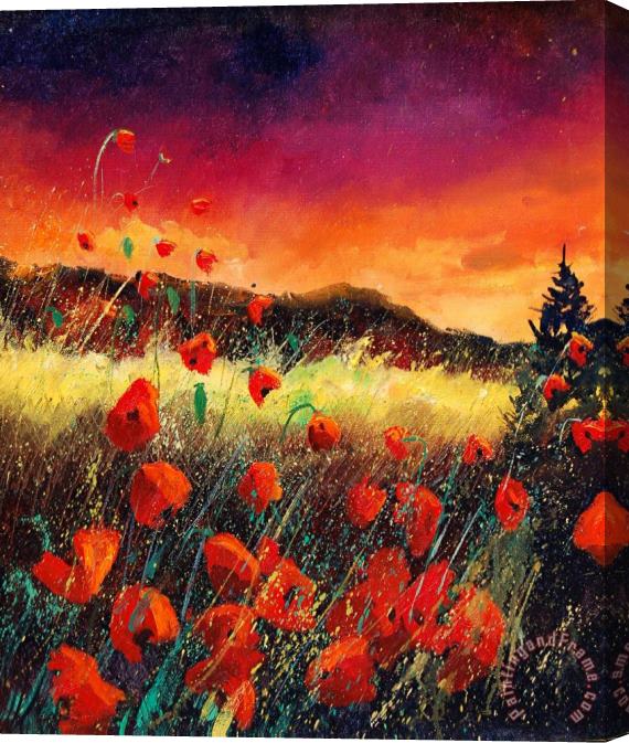 Pol Ledent Poppies at sunset 67 Stretched Canvas Painting / Canvas Art