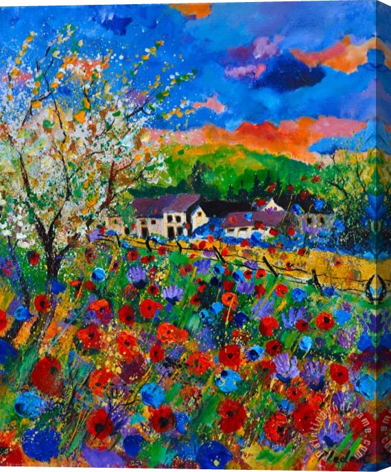 Pol Ledent Poppies in Sorinnes Stretched Canvas Print / Canvas Art