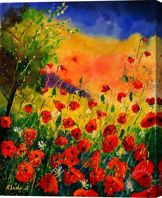 Pol Ledent Red Poppies 45 Stretched Canvas Painting / Canvas Art