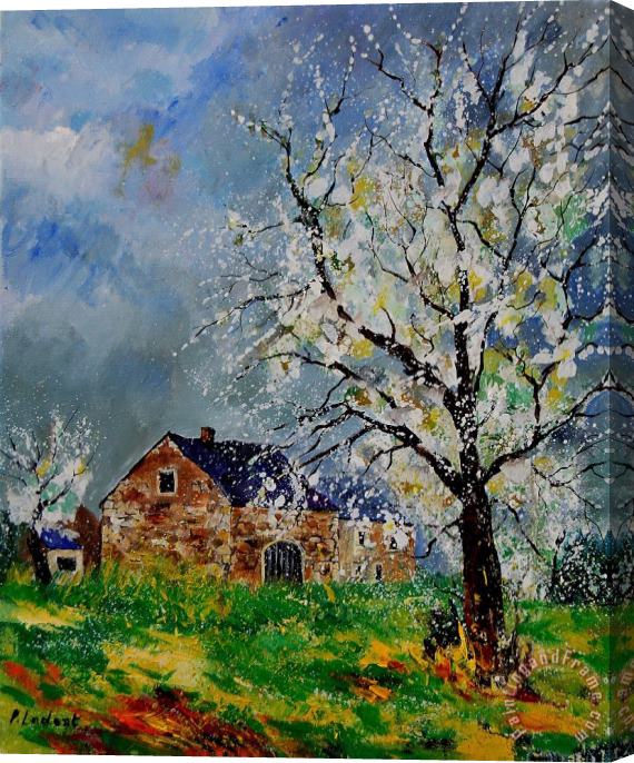 Pol Ledent Spring Landscape Stretched Canvas Print / Canvas Art