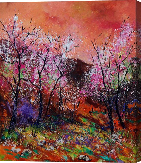 Pol Ledent Spring near my home Stretched Canvas Print / Canvas Art