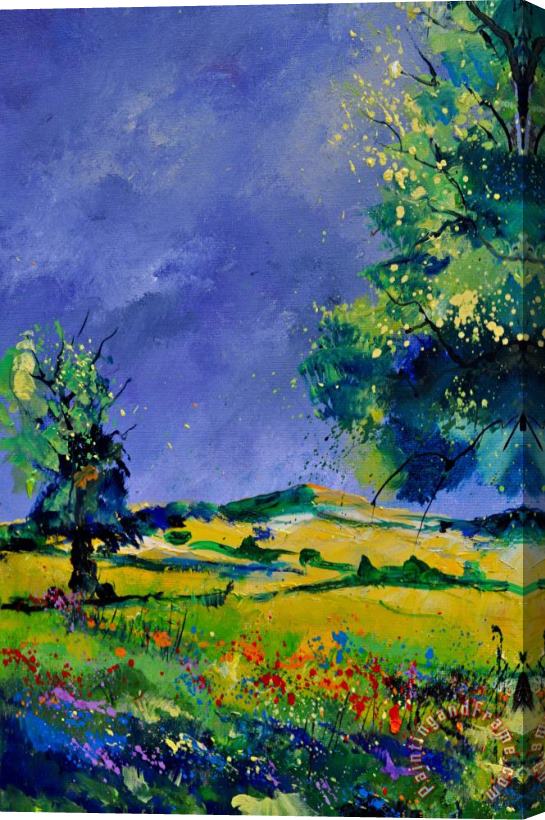 Pol Ledent Summer Oaks Stretched Canvas Print / Canvas Art