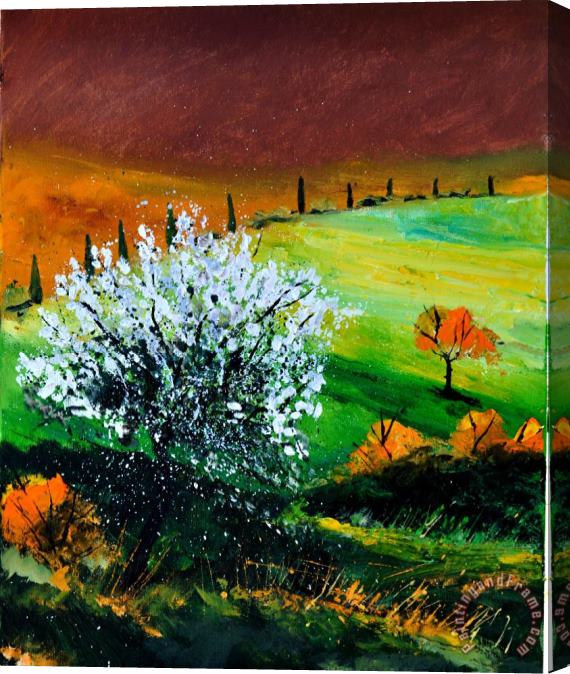 Pol Ledent Tuscany 561170 Stretched Canvas Painting / Canvas Art