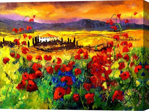 Pol Ledent Tuscany 68 Stretched Canvas Print / Canvas Art