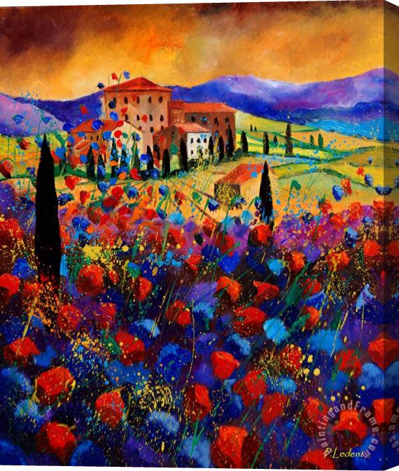 Pol Ledent Tuscany poppies Stretched Canvas Painting / Canvas Art