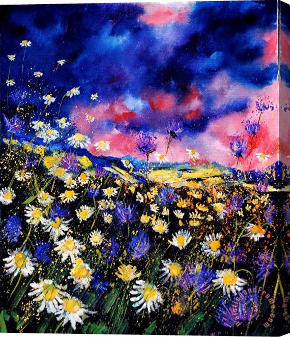Pol Ledent Wildflowers 67 Stretched Canvas Painting / Canvas Art
