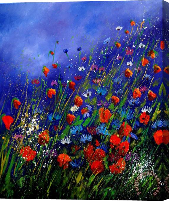 Pol Ledent Wildflowers 78 Stretched Canvas Painting / Canvas Art
