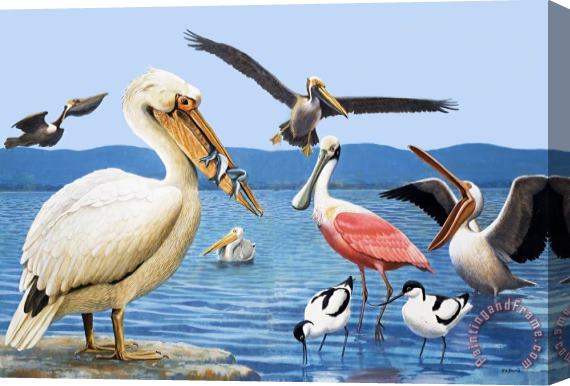 R B Davis Birds with strange beaks Stretched Canvas Painting / Canvas Art