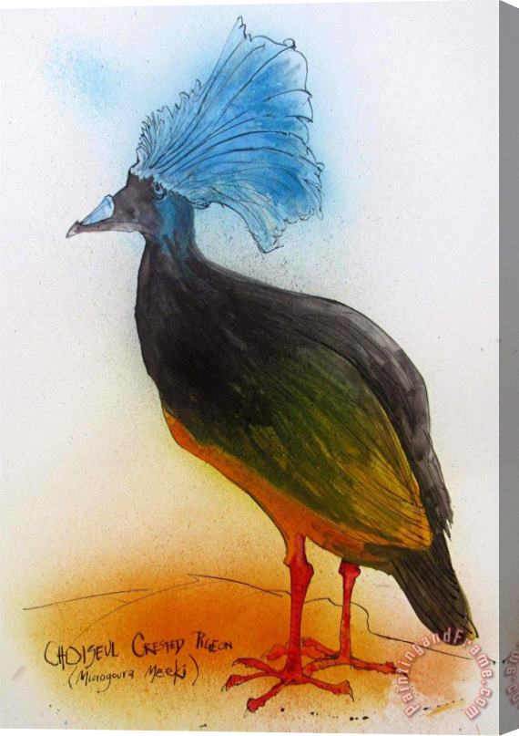 Ralph Steadman Choiseul Crested Pigeon, Ca. 2021 Stretched Canvas Print / Canvas Art
