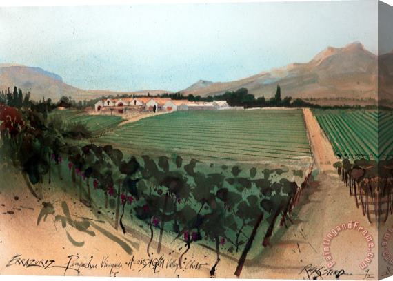 Ralph Steadman Wine Oddbins Errauriz Panquehue Vineyard Chile, 1992 Stretched Canvas Painting / Canvas Art