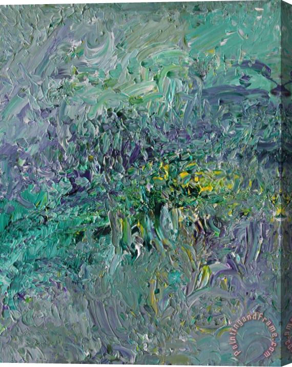 Ralph White Unseen Giverny Stretched Canvas Print / Canvas Art