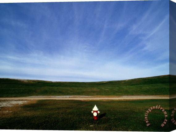 Raymond Gehman A Fire Hydrant in a Green Field Under a Wide Blue Sky Stretched Canvas Painting / Canvas Art