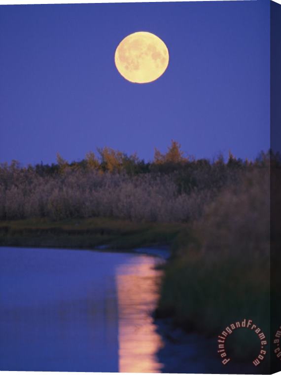 Raymond Gehman A Full Moon Is Reflected in The Mackenzie River Stretched Canvas Print / Canvas Art
