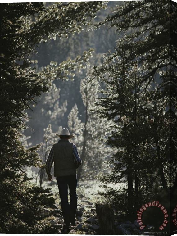 Raymond Gehman A Man on a Trail in The Wind River Range Stretched Canvas Print / Canvas Art