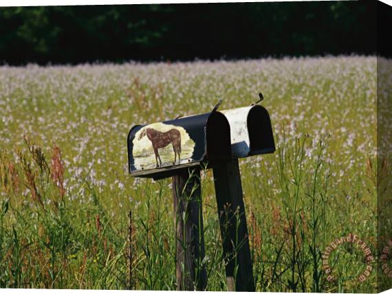 Raymond Gehman A Pair of Mailboxes Set on The Edge of a Field of Wildflowers Stretched Canvas Print / Canvas Art