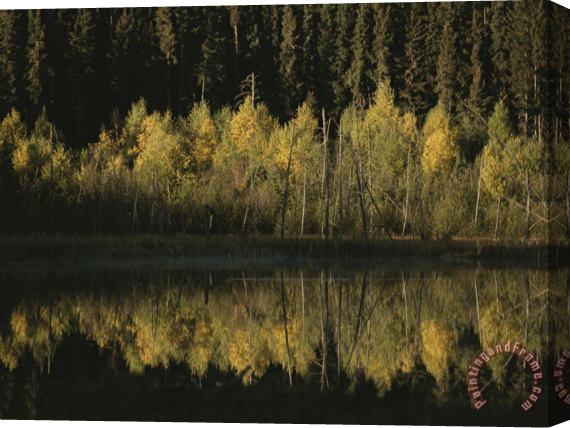 Raymond Gehman Autumnal Beauty Reflected in a Still Creek Stretched Canvas Print / Canvas Art