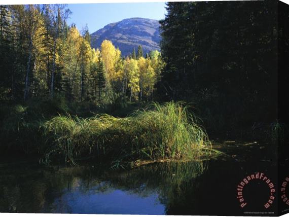 Raymond Gehman Autumnal View Near Cli Lake Stretched Canvas Print / Canvas Art