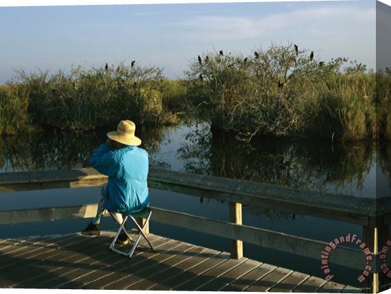 Raymond Gehman Bird Watching From a Wooden Walkway on The Anhinga Trail Stretched Canvas Print / Canvas Art