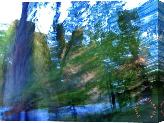 Raymond Gehman Blurred Motion Shot Redwood Trees at The Side of The Road Stretched Canvas Painting / Canvas Art
