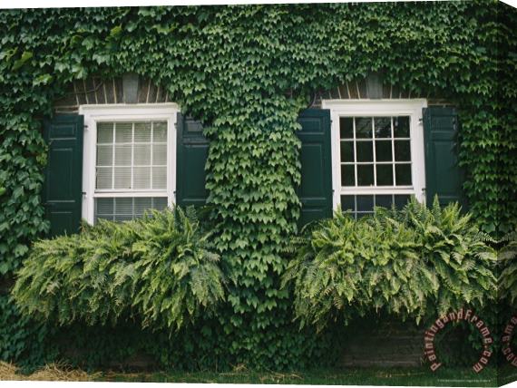 Raymond Gehman Detail of The Ivy Covered James Fenimore Cooper House Stretched Canvas Painting / Canvas Art