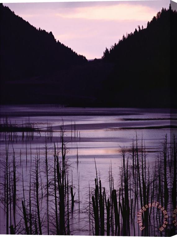 Raymond Gehman Earthquake Lake Madison River Quake Area Gallatin National Forest Stretched Canvas Painting / Canvas Art