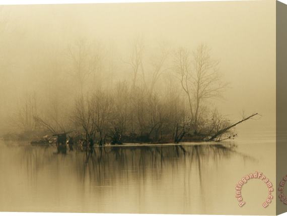 Raymond Gehman Fog Hovers Above The James River at Dawn Stretched Canvas Painting / Canvas Art