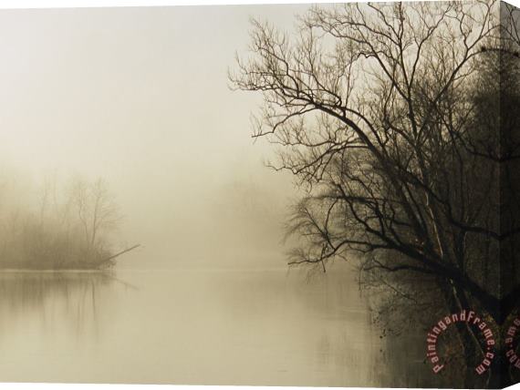 Raymond Gehman Fog Hovers Above The James River Stretched Canvas Print / Canvas Art