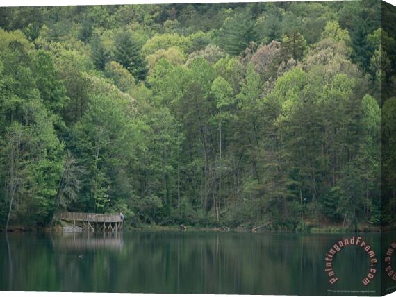 Raymond Gehman Frog Pond in Chattachoochee National Forest Stretched Canvas Print / Canvas Art