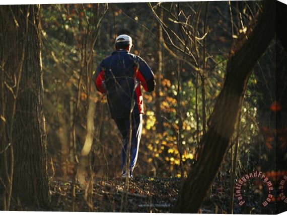 Raymond Gehman Jogger Running on Sun Dappled Trail Through Rock Creek Park Stretched Canvas Print / Canvas Art
