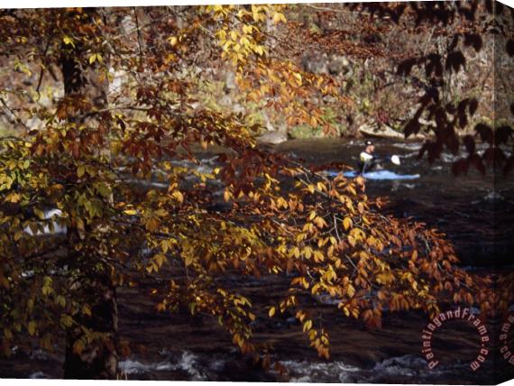 Raymond Gehman Kayaker on The Nantahala River Seen Through Birch Tree Branches Stretched Canvas Painting / Canvas Art