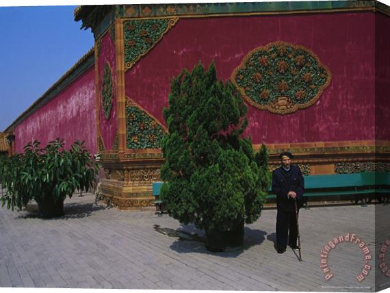 Raymond Gehman Man Stands Beside a Juniper Bush in The Forbidden City in Beijing Stretched Canvas Painting / Canvas Art