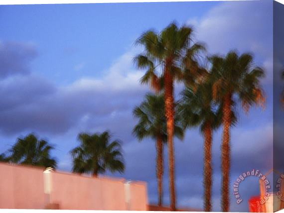 Raymond Gehman Palm Trees at Sunset Along Melrose Avenue Stretched Canvas Painting / Canvas Art
