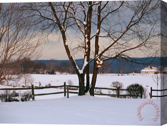 Raymond Gehman Pastoral View of a Farm Covered in Snow Stretched Canvas Painting / Canvas Art