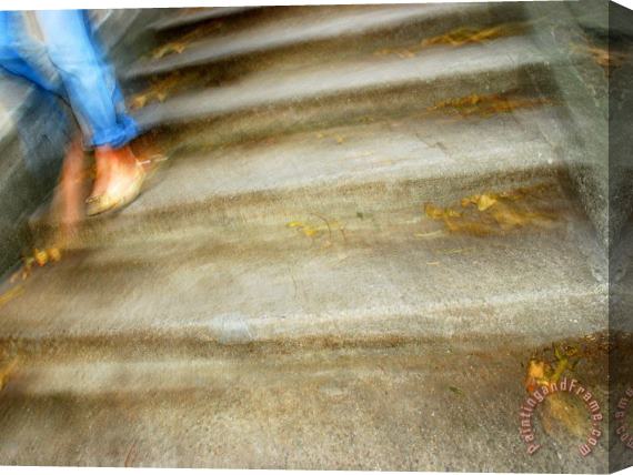 Raymond Gehman Person Walking Down Staircase in San Francisco Stretched Canvas Painting / Canvas Art