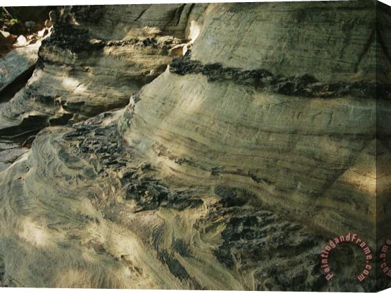 Raymond Gehman Quartzite Metamorphosed Sandstone at Base of Pilot Mountain Stretched Canvas Print / Canvas Art