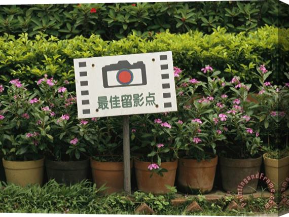 Raymond Gehman Sign in Front of Blooming Plants Indicates a Photo Opportunity Stretched Canvas Painting / Canvas Art