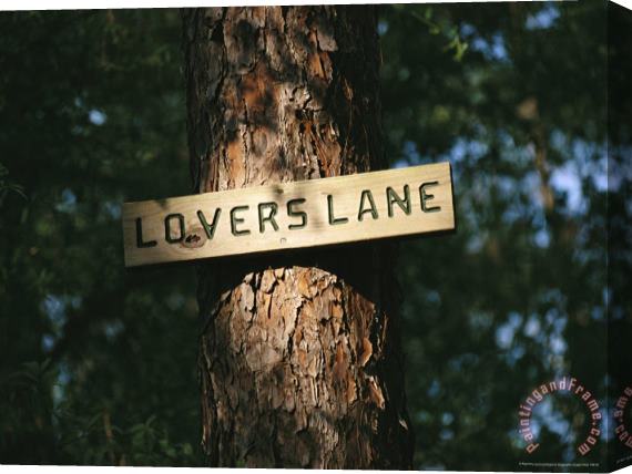 Raymond Gehman Sign on a Tree Marks Lovers Lane Stretched Canvas Painting / Canvas Art