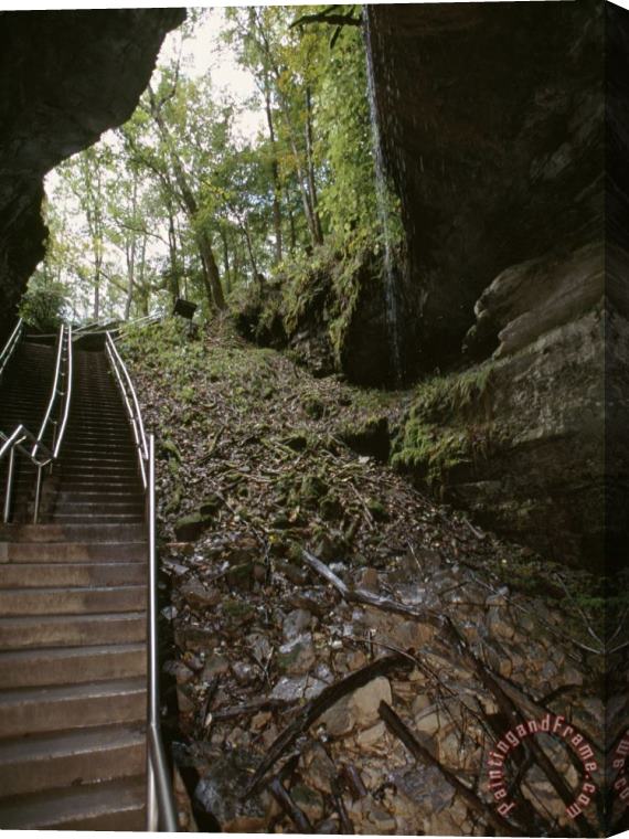 Raymond Gehman Stairway Leading Down Into Mammoth Cave Stretched Canvas Print / Canvas Art