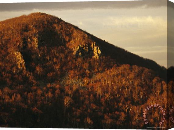 Raymond Gehman Sunrise at Hawksbill Mountain Highest Peak in Park 4 051 Feet Stretched Canvas Painting / Canvas Art