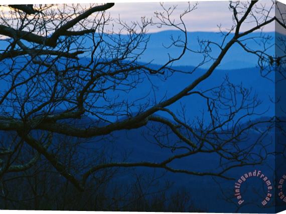 Raymond Gehman Sunset Through Silhouetted Tree Branches And Over Mountains Stretched Canvas Print / Canvas Art