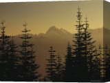 Buy Stretched Canvas Print