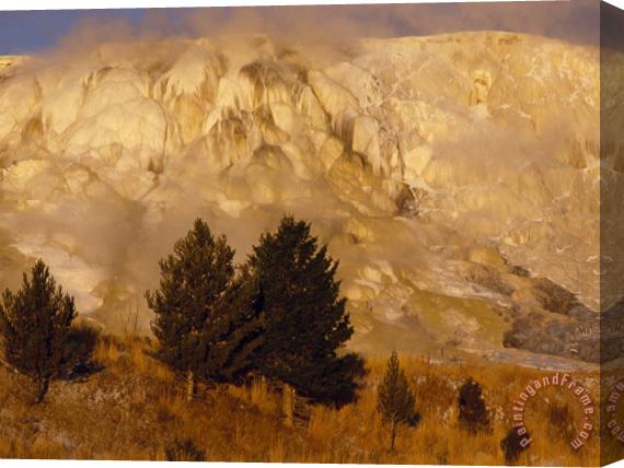Raymond Gehman Terraces of Travertine Rim Mammoth Hot Springs in Yellowstone National Park Stretched Canvas Print / Canvas Art