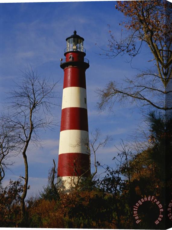 Raymond Gehman The Assateague Island Lighthouse Against a Blue Sky Stretched Canvas Print / Canvas Art