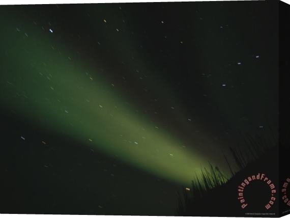 Raymond Gehman The Aurora Borealis Glows Brightly Over The Mackenzie River Stretched Canvas Print / Canvas Art