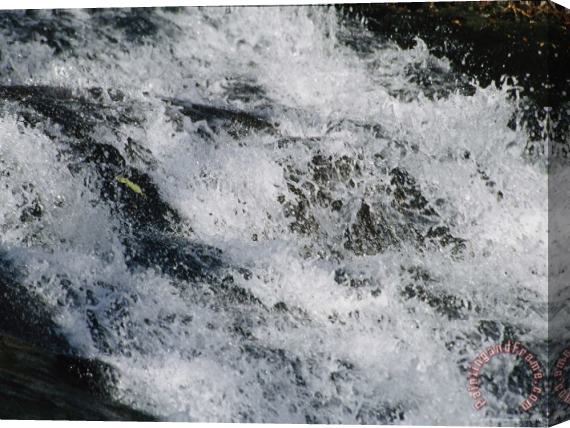Raymond Gehman The Splash of a Cascading Waterfall in Jefferson National Forest Stretched Canvas Painting / Canvas Art