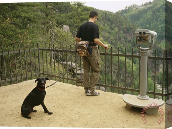 Raymond Gehman Tourist And His Dog Take in The View From a Scenic Overlook Stretched Canvas Painting / Canvas Art