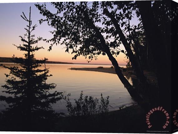 Raymond Gehman Trees Stand Silhouetted Against Waskesiu Lake at Sunset Stretched Canvas Painting / Canvas Art