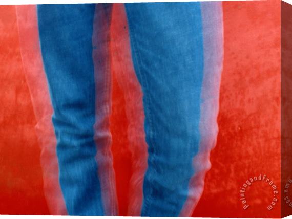 Raymond Gehman Vibrant Blue Jeans Against a Red Background Stretched Canvas Print / Canvas Art