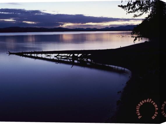 Raymond Gehman Yellowstone Lake at Dawn Yellowstone National Park Wyoming Stretched Canvas Painting / Canvas Art